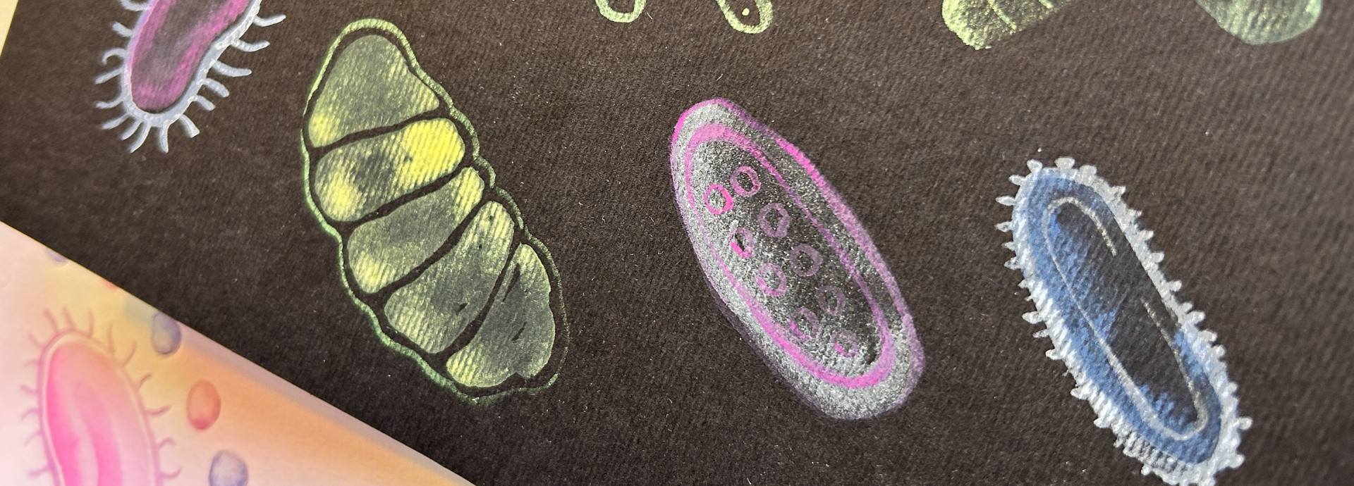 Bacteria Watercolour Art