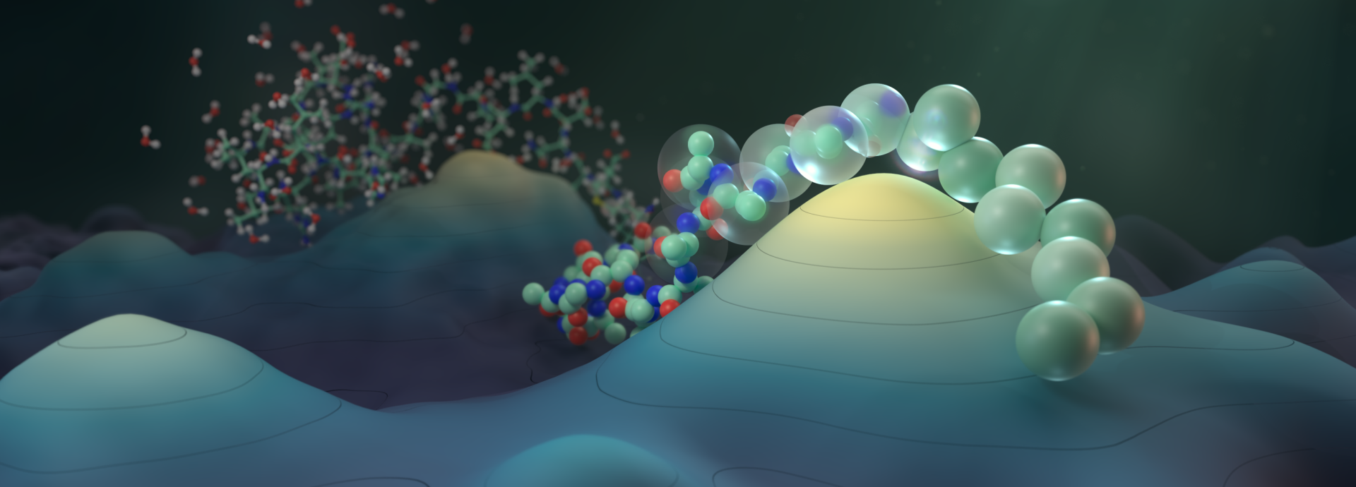 Model of protein structures