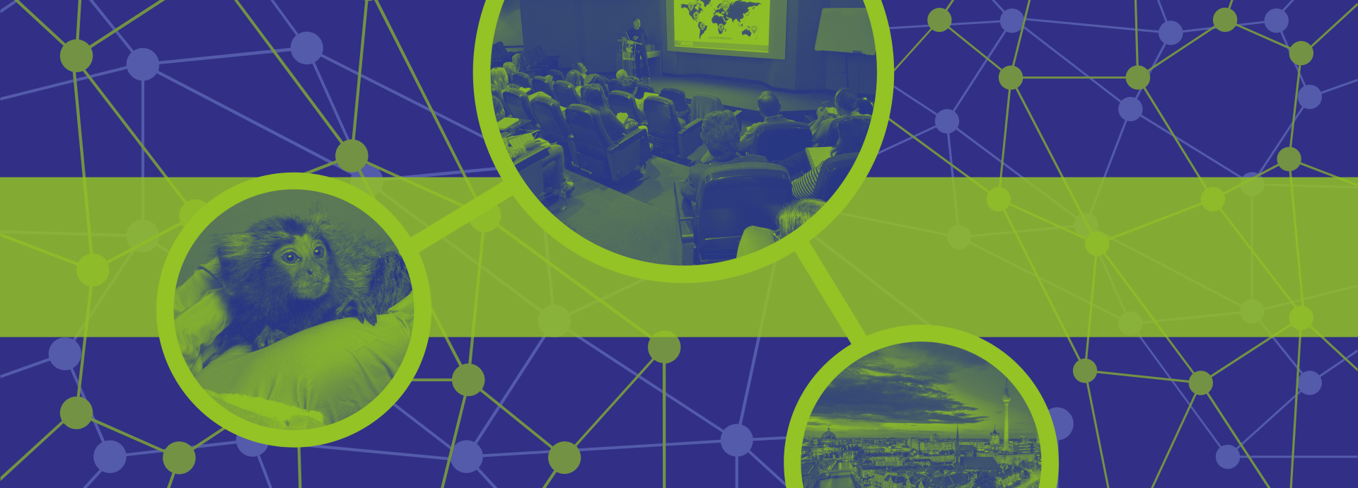 Shaping the future of animal research communication