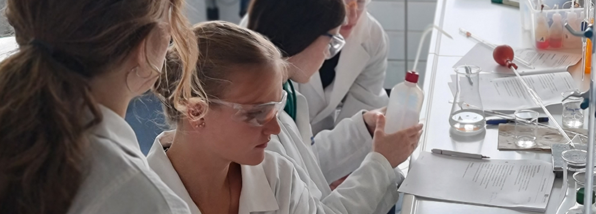 Arbeiten im Labor