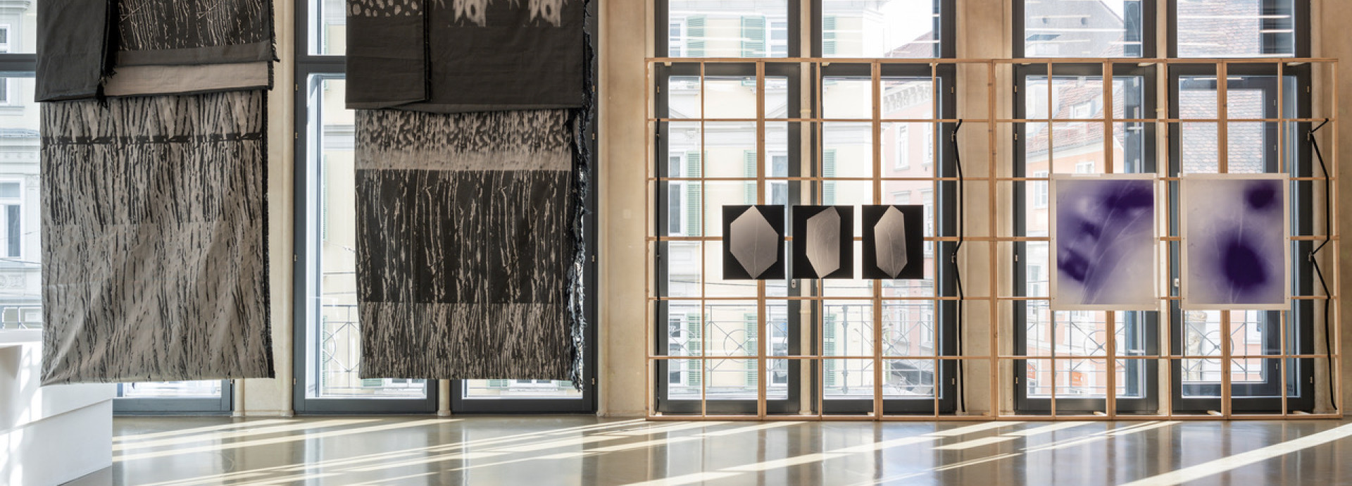 Ausstellungsansicht Ray, Rock, Rowan (Being A Photograph), Camera Austria 2025