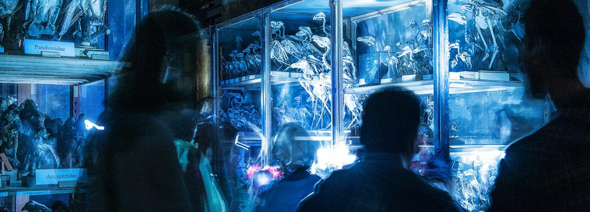 people stand in front of a exhibtion display in a dark museum