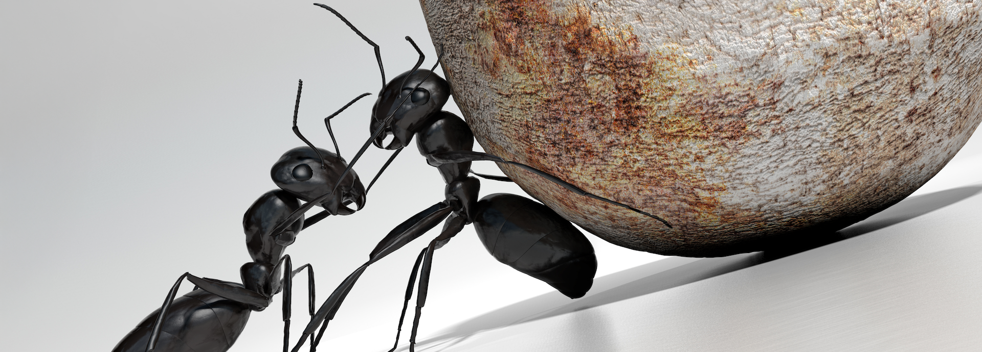 Forschung für morgen – gemeinsam heute starten