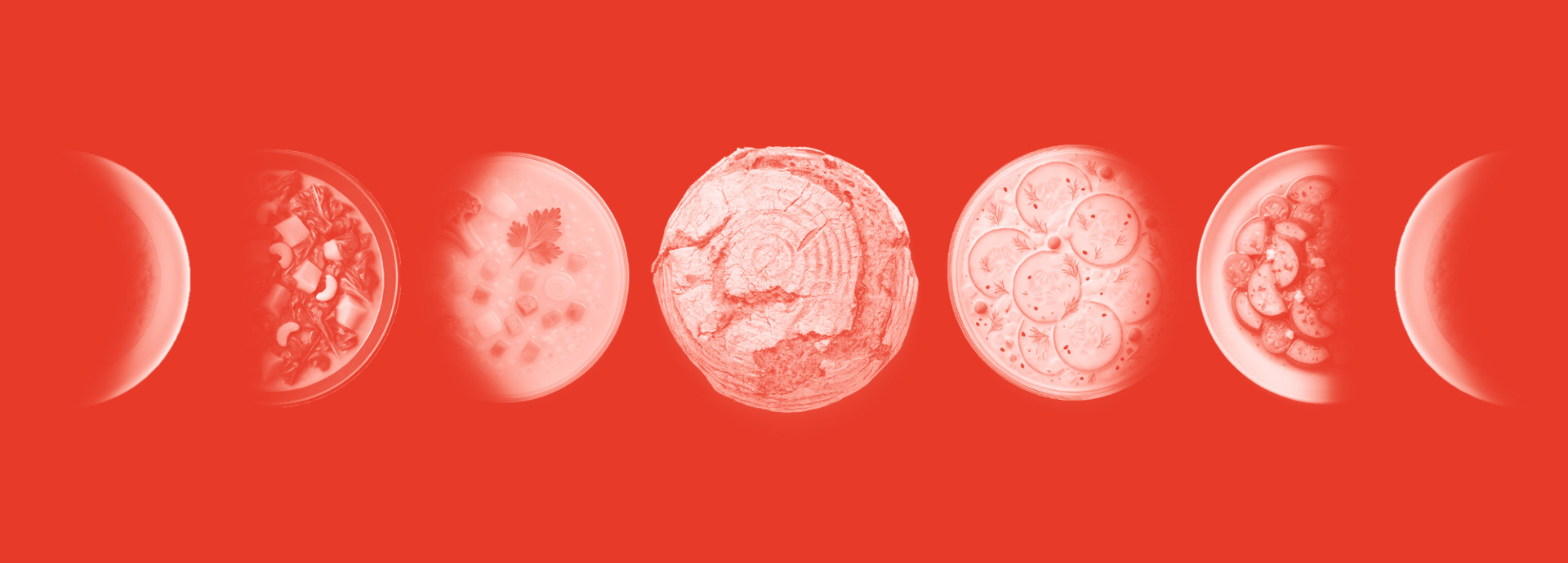 plates with food arranged in a row like phases of the moon 