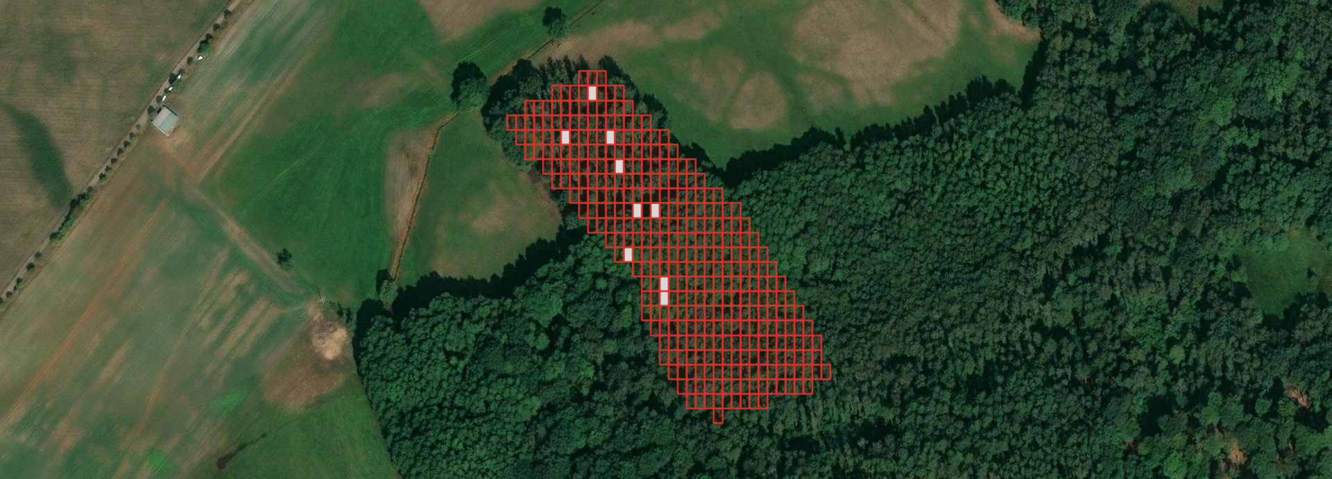 Satellite view of a forested area with red grid overlays indicating a section of the land, showing a mix of cleared fields and wooded areas.