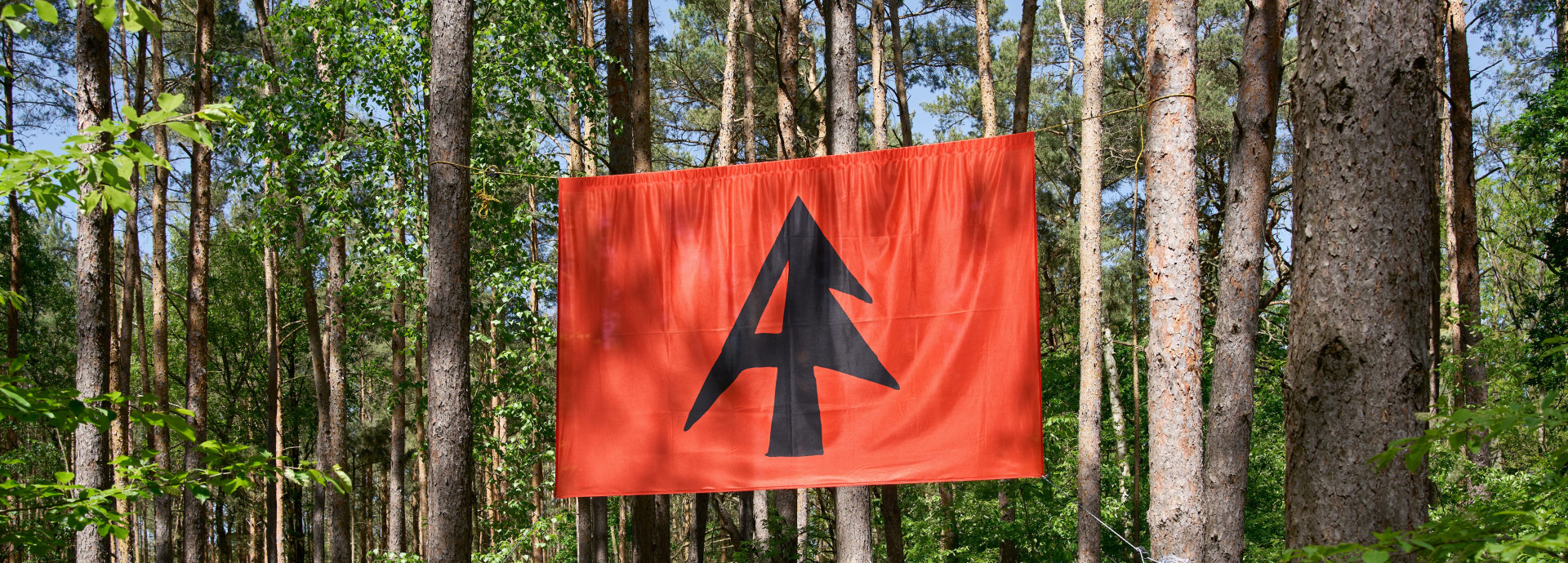 Red flag with a bold black abstract tree-shaped symbol hanging between trees in a dense forest under clear blue sky.