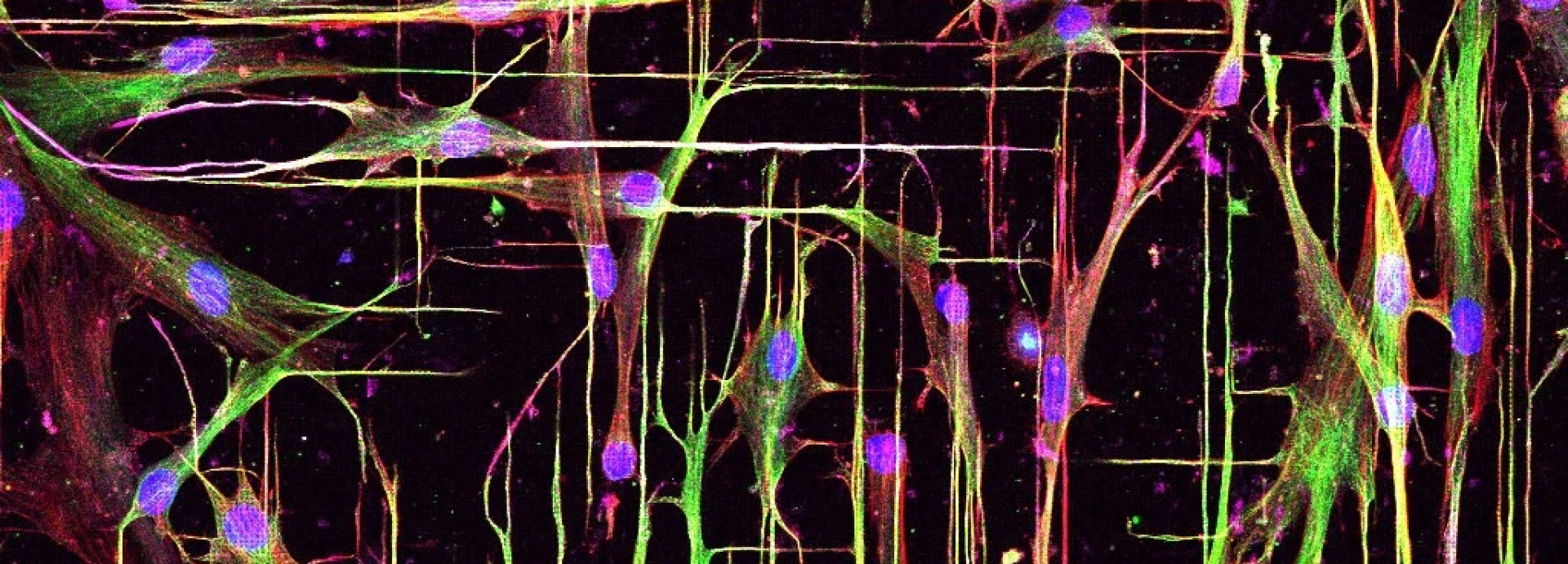 Painting of neon cells. 