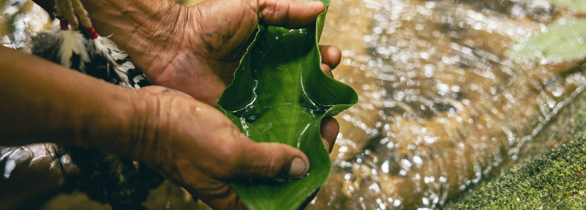 Hands holding a leaf that cups water over a river
