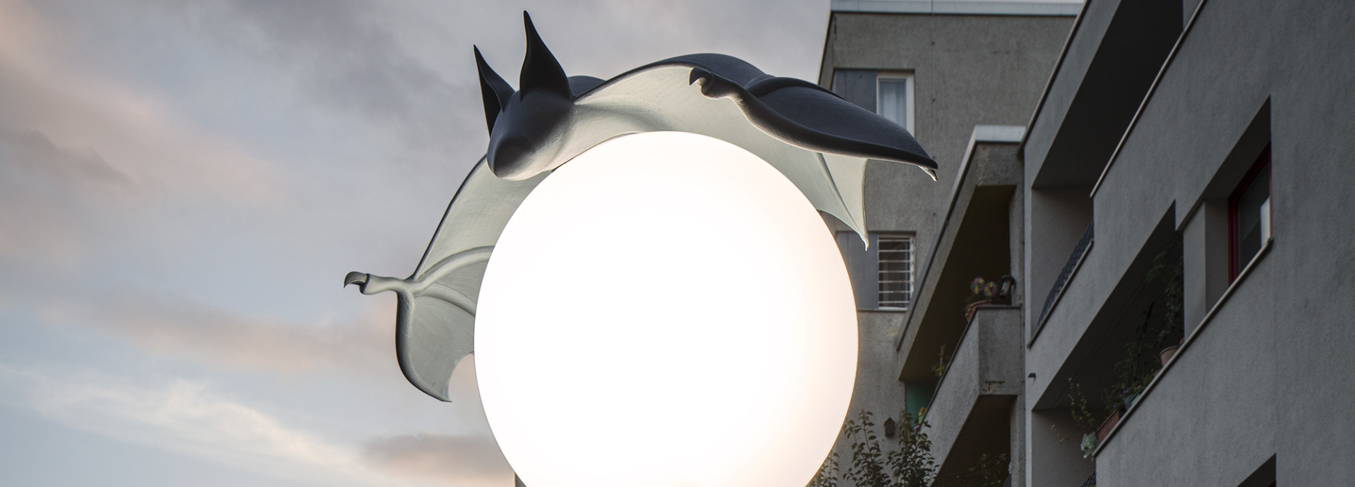 Nightcaps: Bat hovering over street lantern, Alona Rodeh