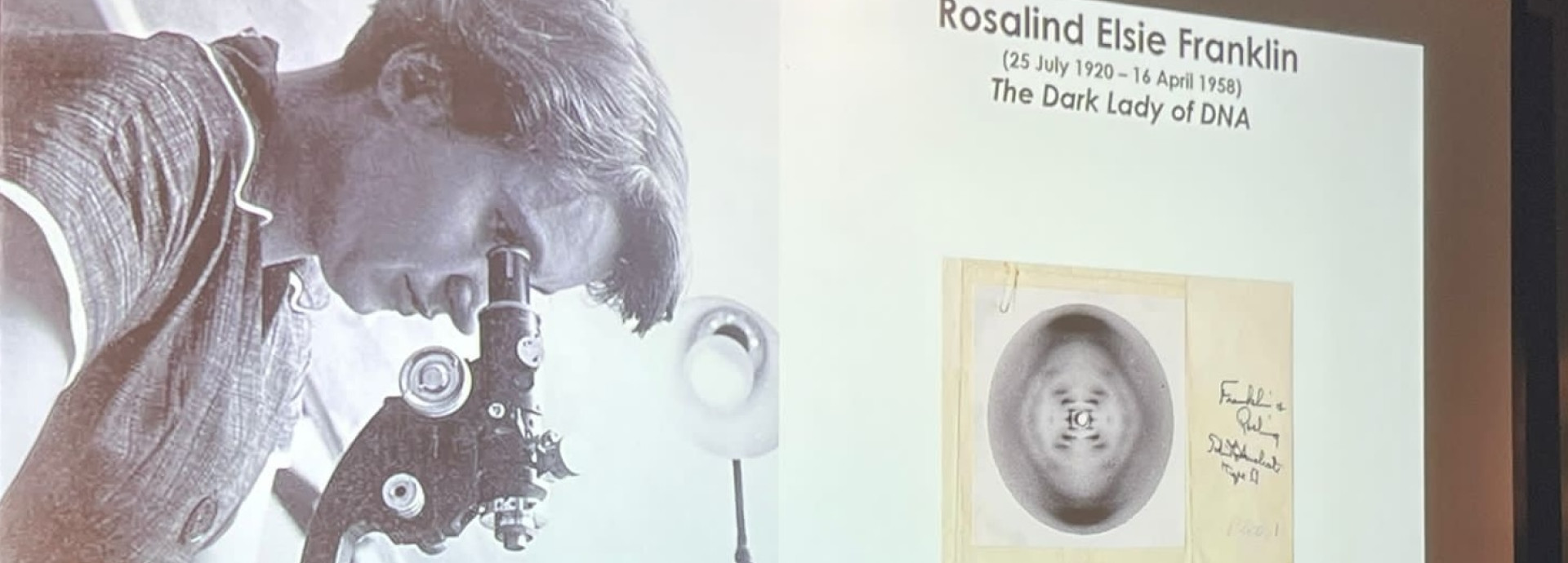 Rosalind Franklin Dna