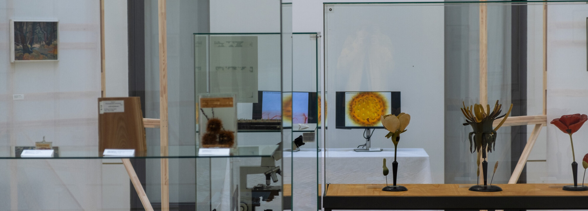 Zusammenstellung von Ausstellungsobjekten