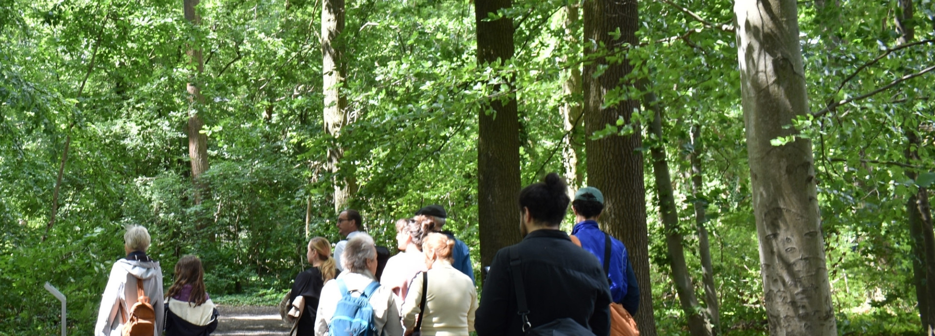 People outside walking in the green area