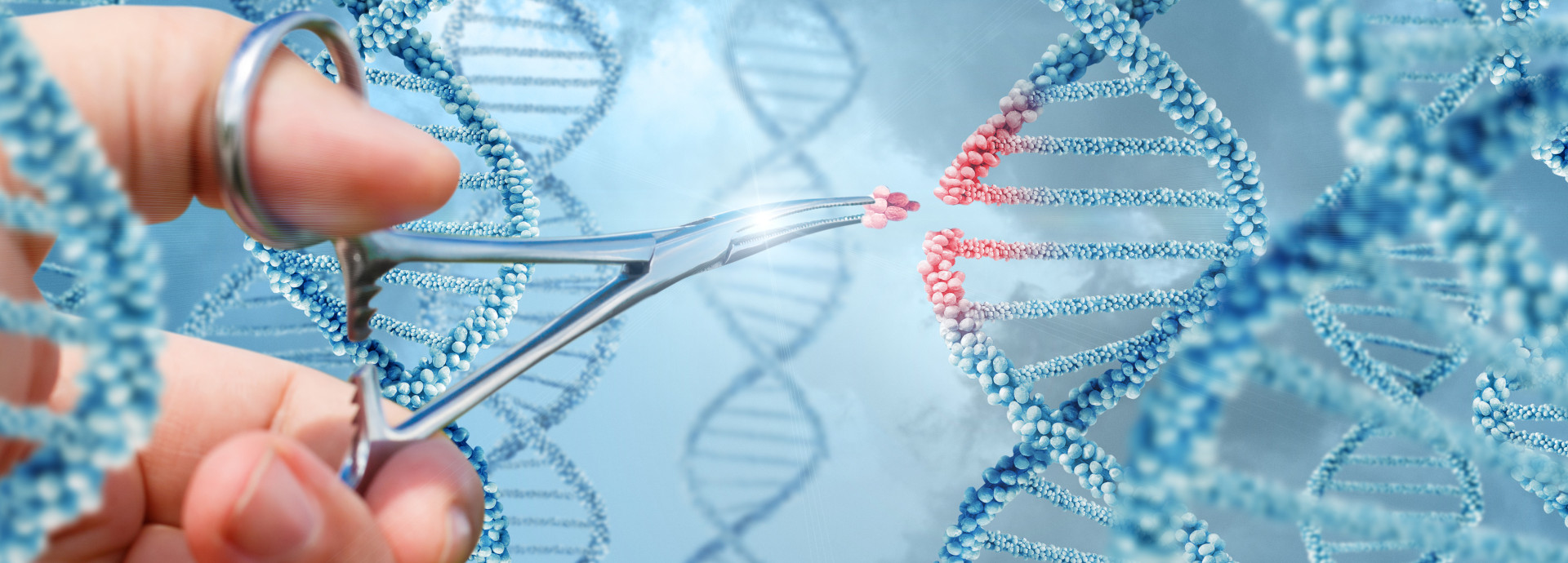 Hand inserts a molecule into DNA
