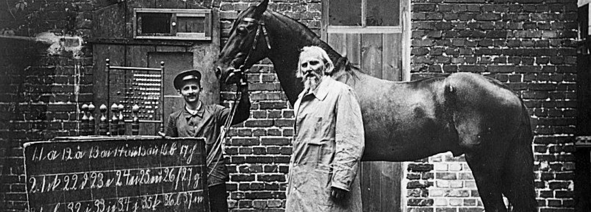 Wilhelm von Osten und der kluge Hans