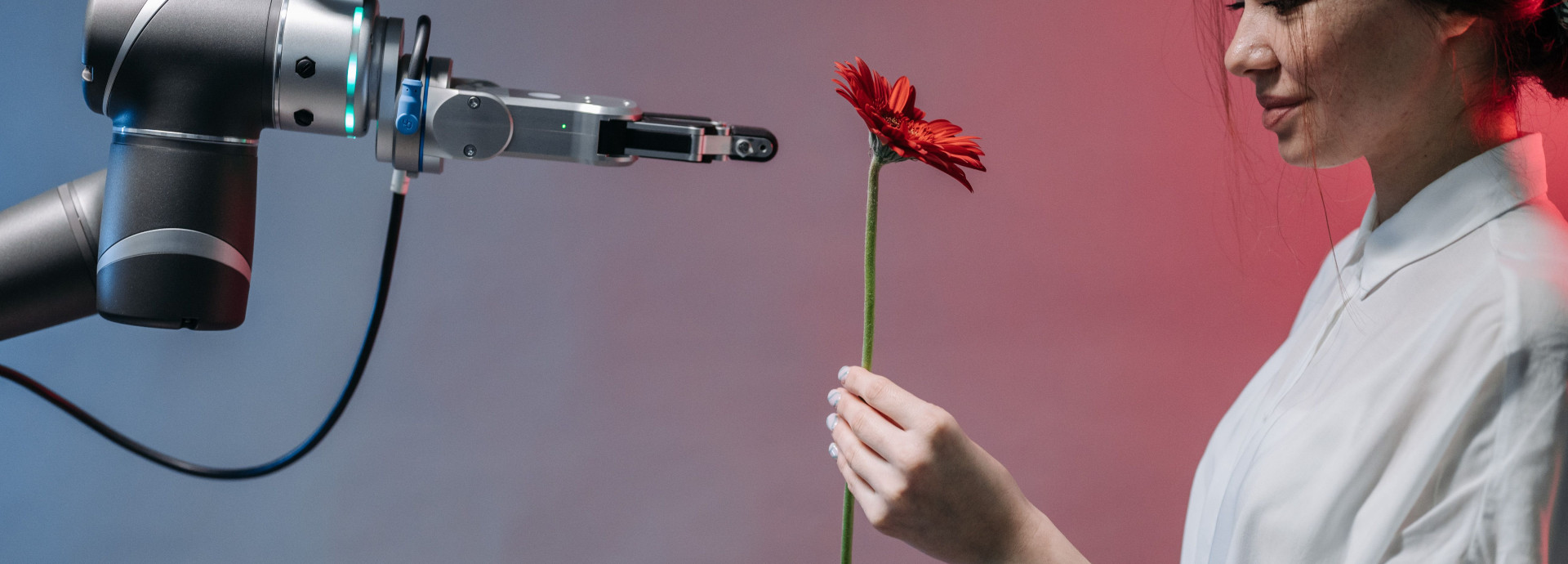 Roboterarm reicht einer Person eine Blume