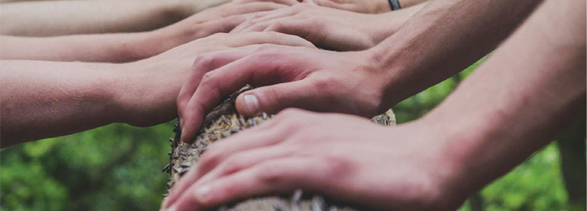 hands on a tree