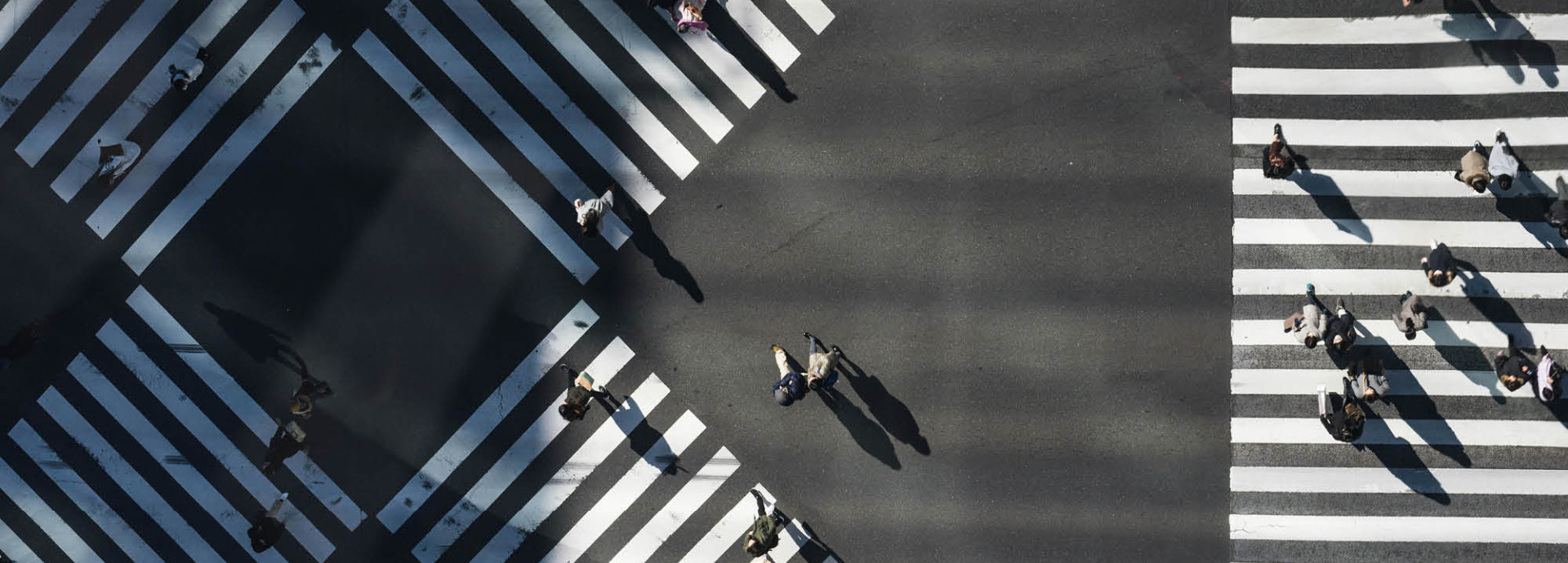 Photo by Ryoji Iwata