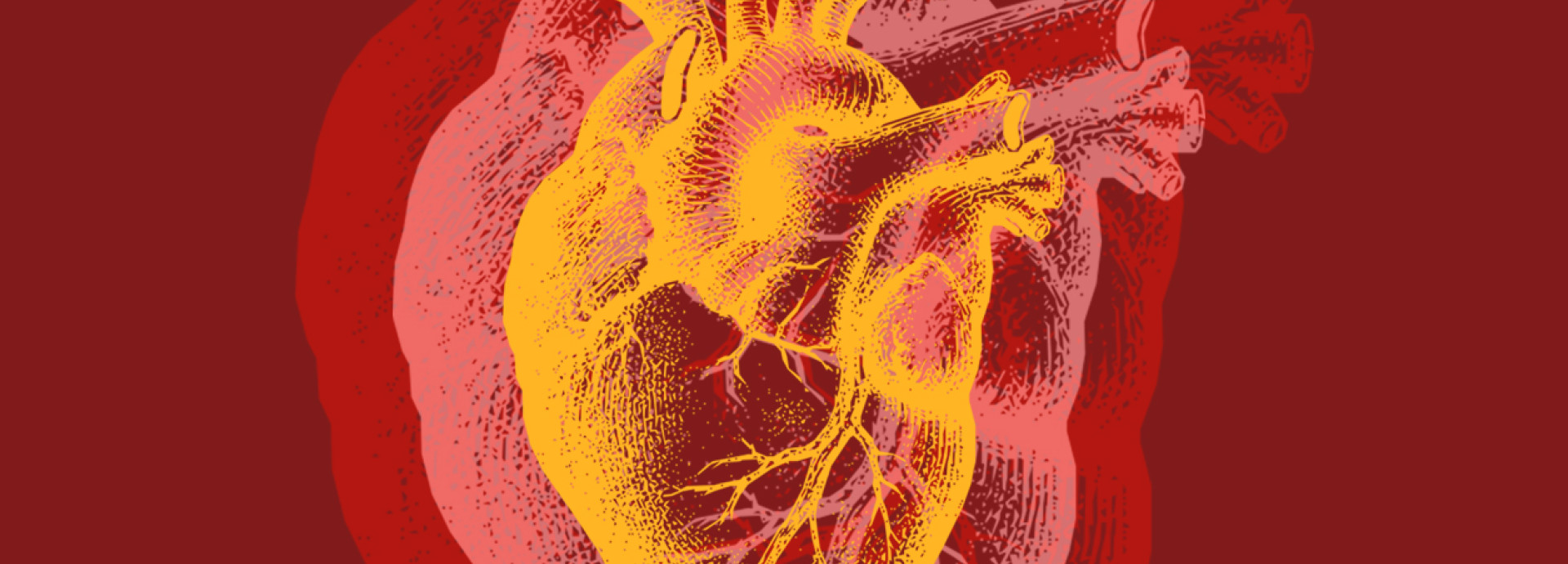 A colored illustration of a pulsing heart.