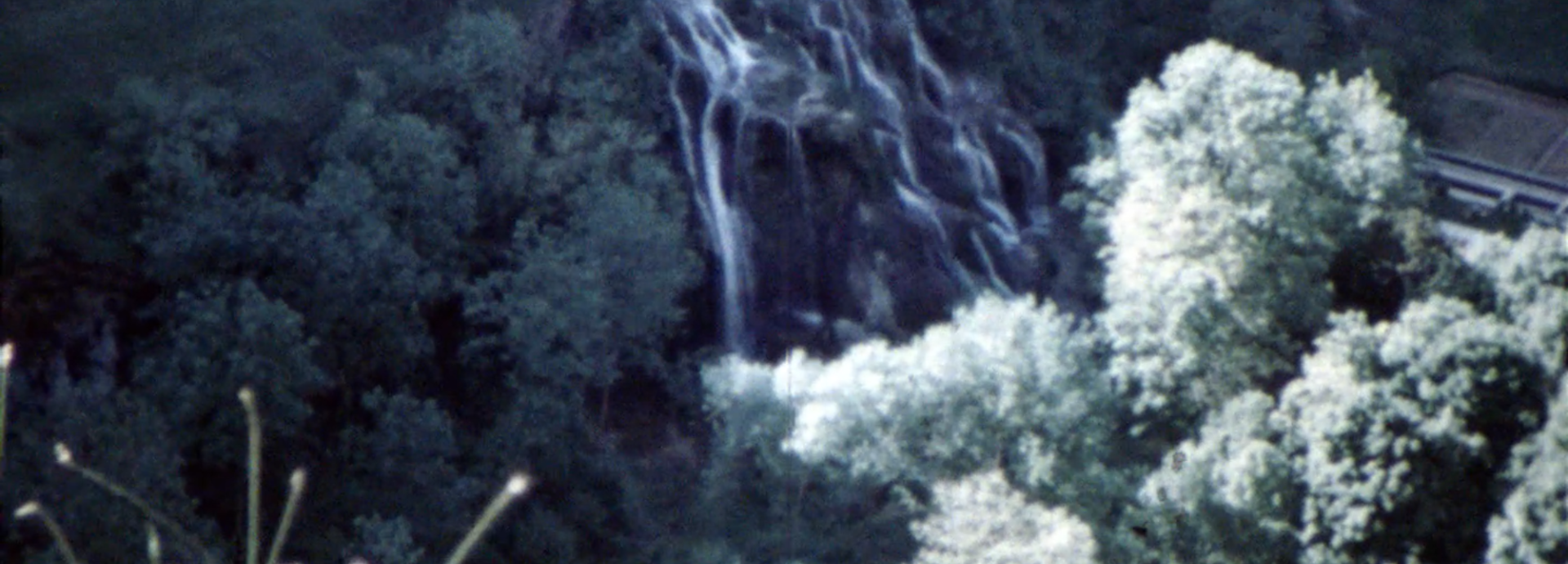 A film still from archival footage showing a forested valley, a waterfall and a house in the distance. 