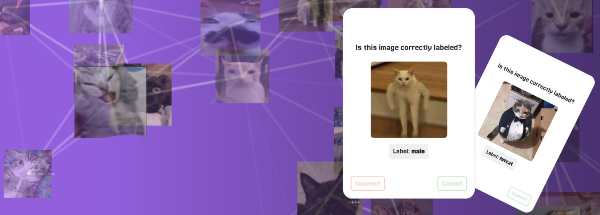 Purple banner for “Schrödinger’s Ethical Dataset,” featuring a collage of cat photos connected by network lines. Two floating cards show a cat image with the prompt “Is this image correctly labeled?”—one labeled “male” and another “fatcat.