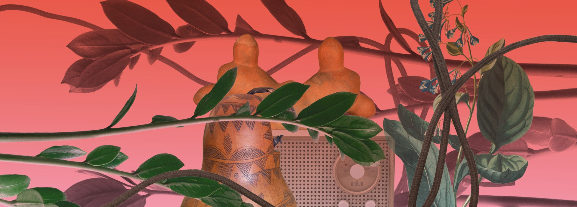  4A_Lab Academy Ecological Entanglemants - Plant Lives and Beyond