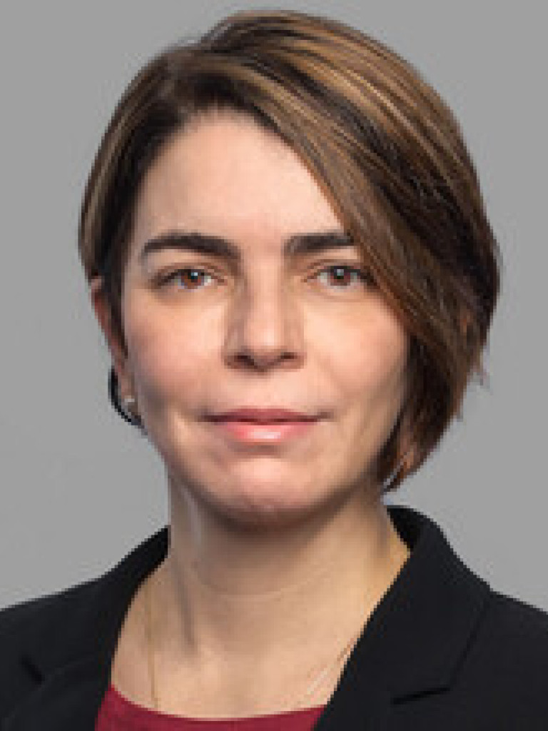 Photo of Prof. Vania Zuin Seidler