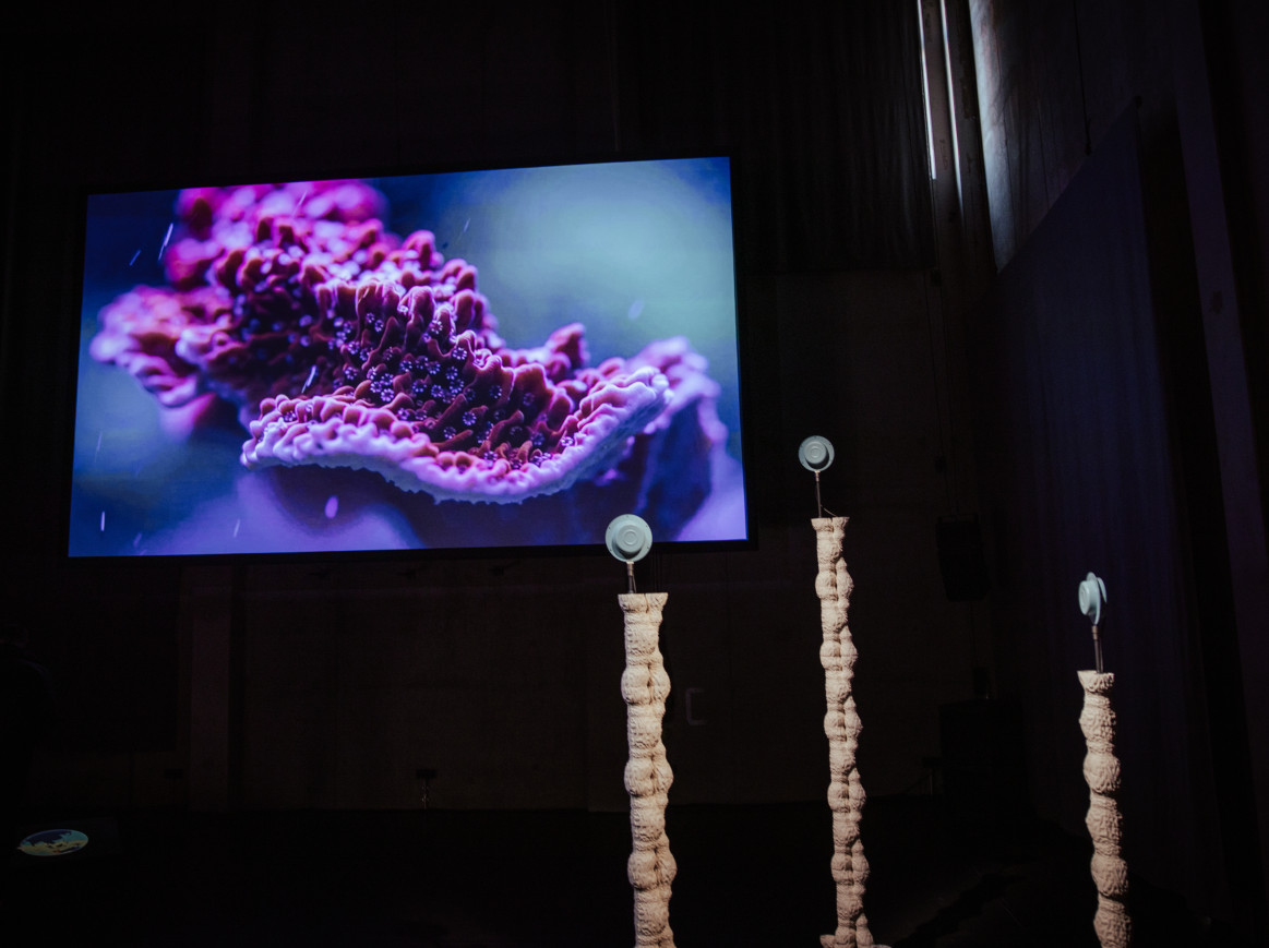 Three coral pillars in front a screen