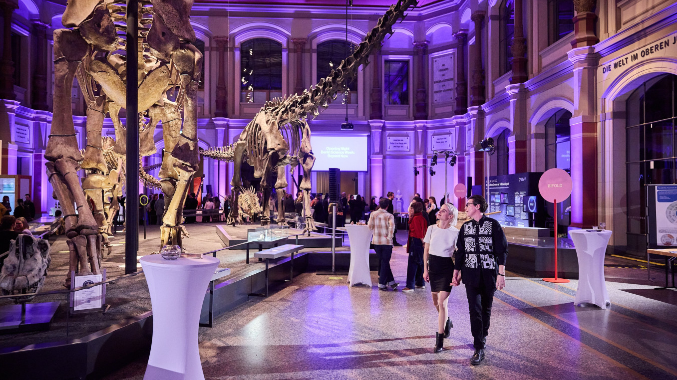 Two people walking through a museum with a big dinosaur skeleton at night.