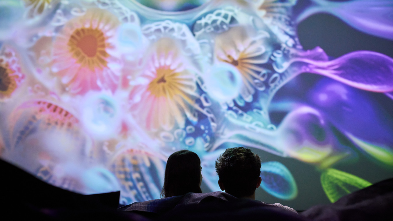 Two people looking at bubbles on a screen