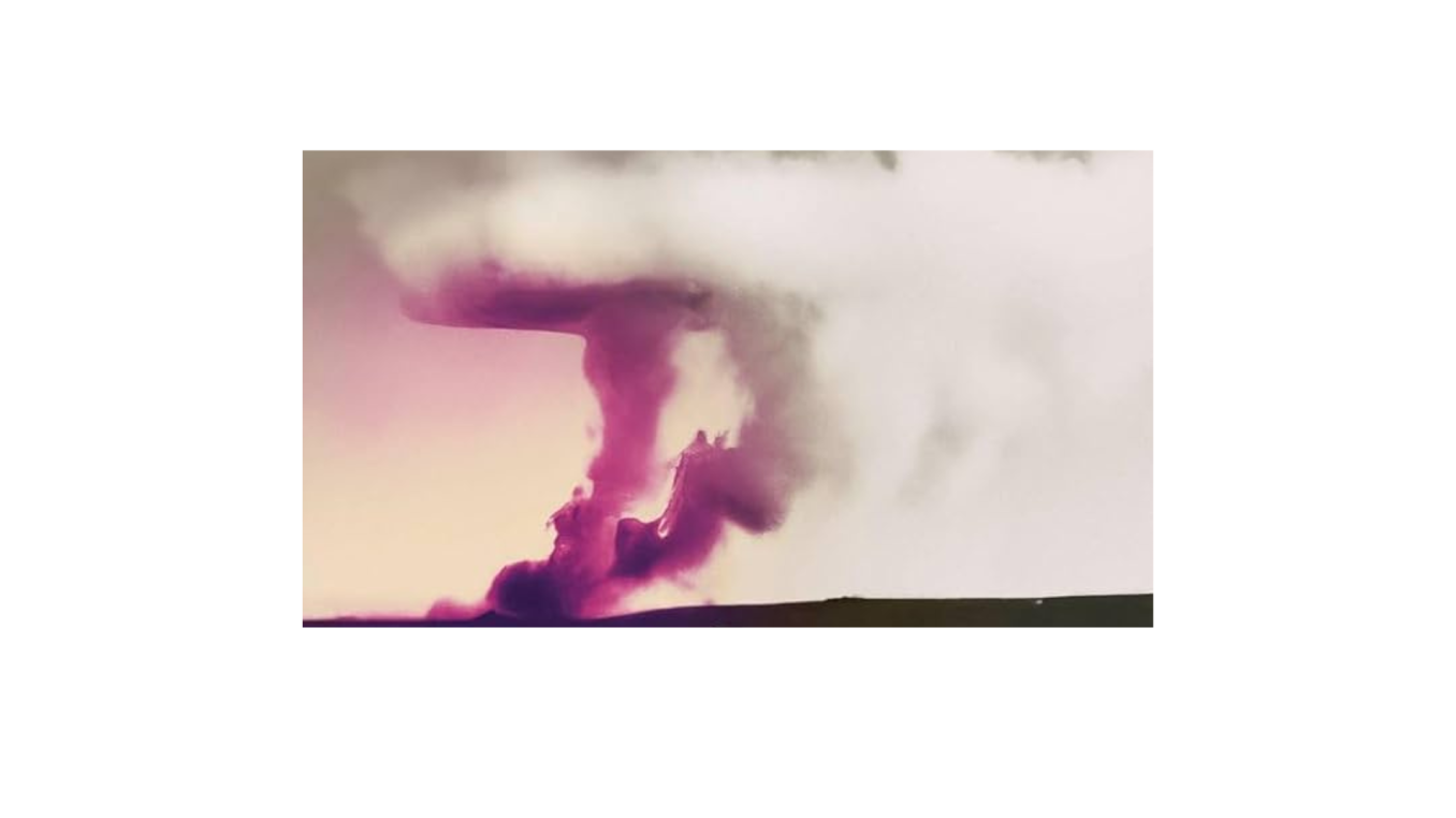 Cover des Buches Maniac