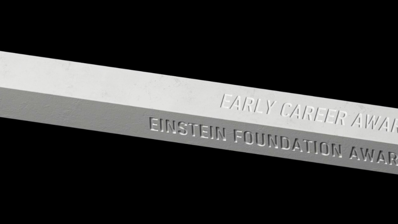 Einstein Foundation Award for Promoting Quality in Research