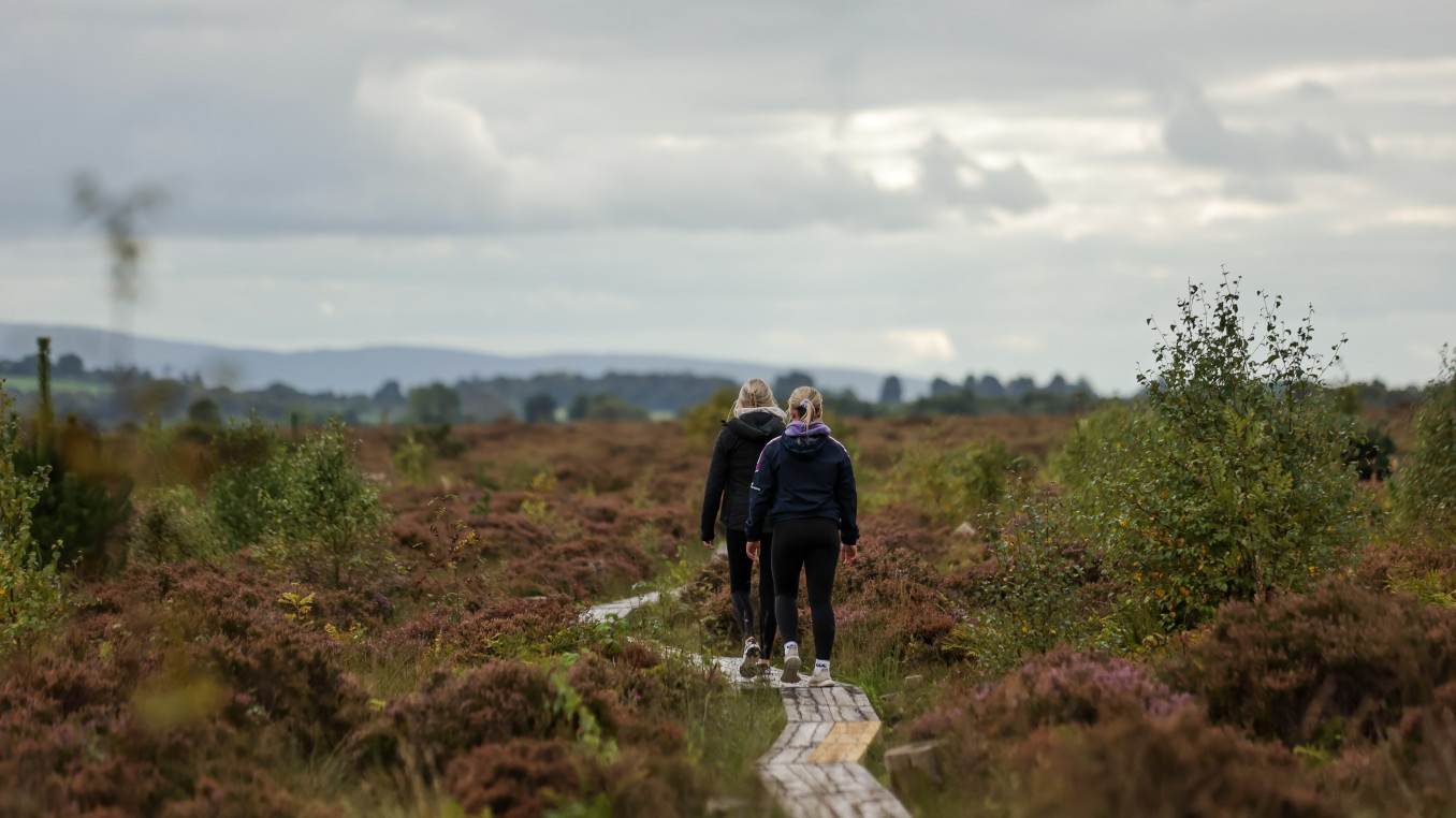 two people walking away from the camera in a peatland