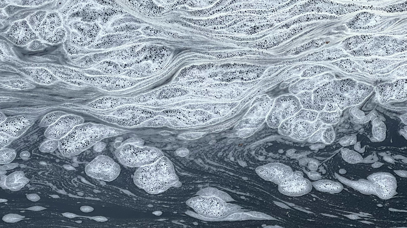 Artistic Intelligence