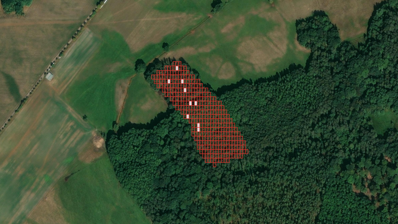 Satellite view of a forested area with red grid overlays indicating a section of the land, showing a mix of cleared fields and wooded areas.