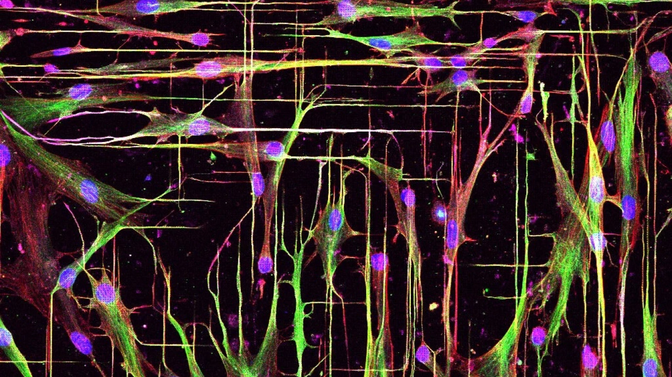 Painting of neon cells. 