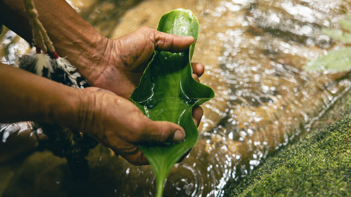 Hands holding a leaf that cups water over a river