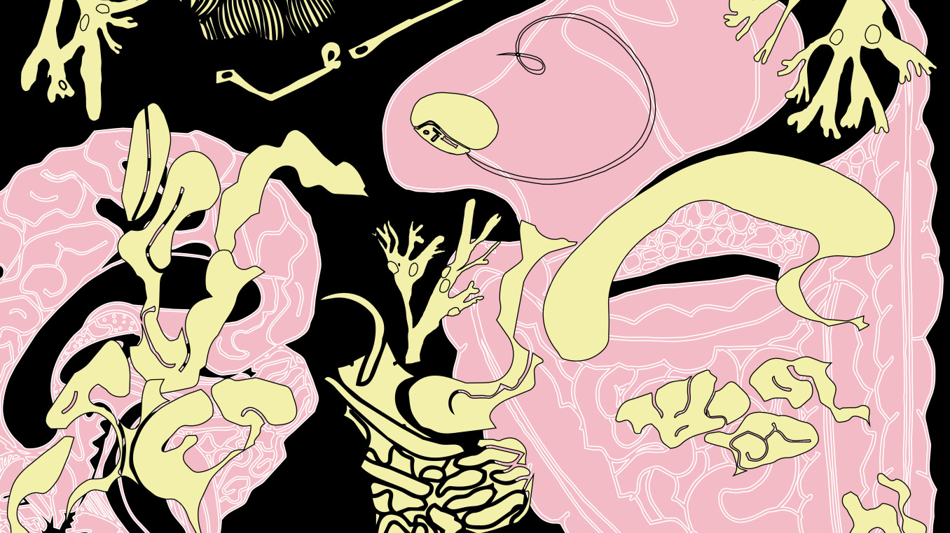 Abstract organic shapes.