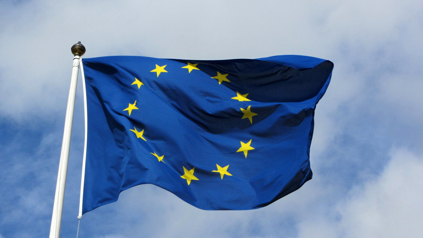 EU-Flagge / Flag