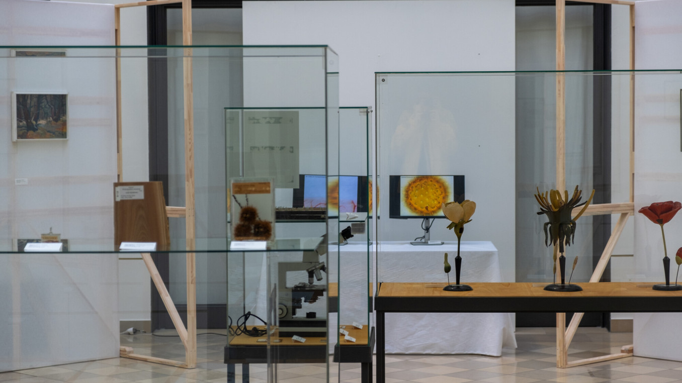 Zusammenstellung von Ausstellungsobjekten