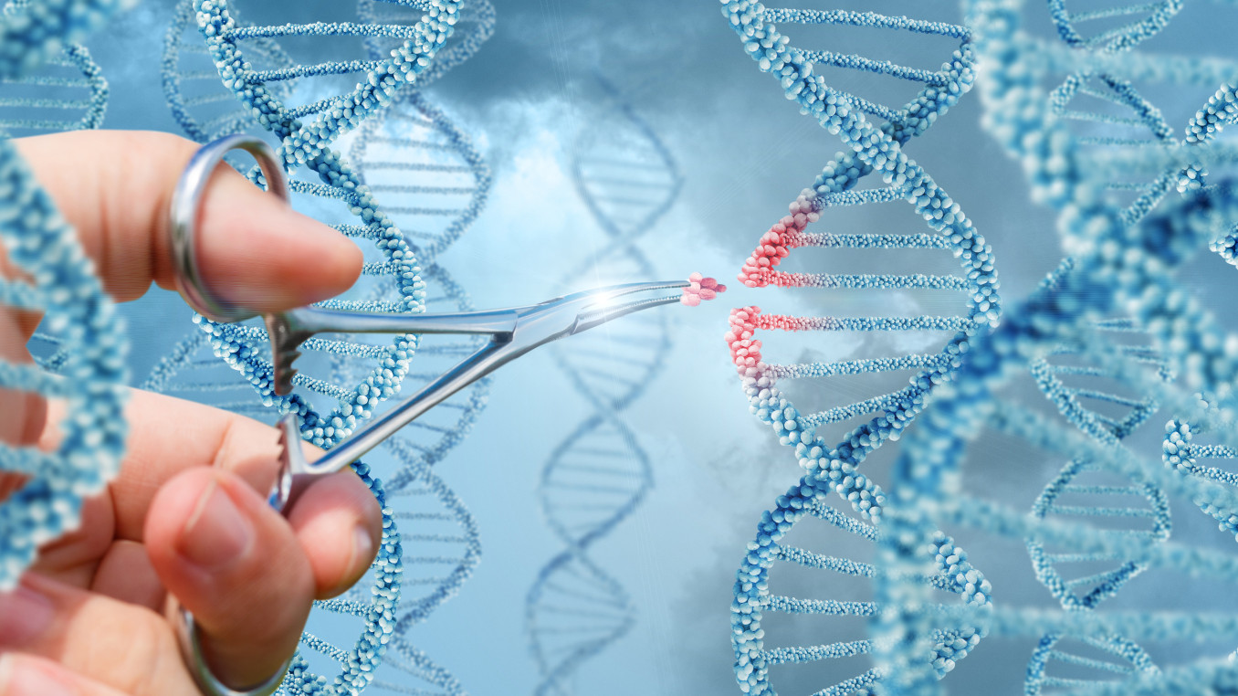 Hand inserts a molecule into DNA