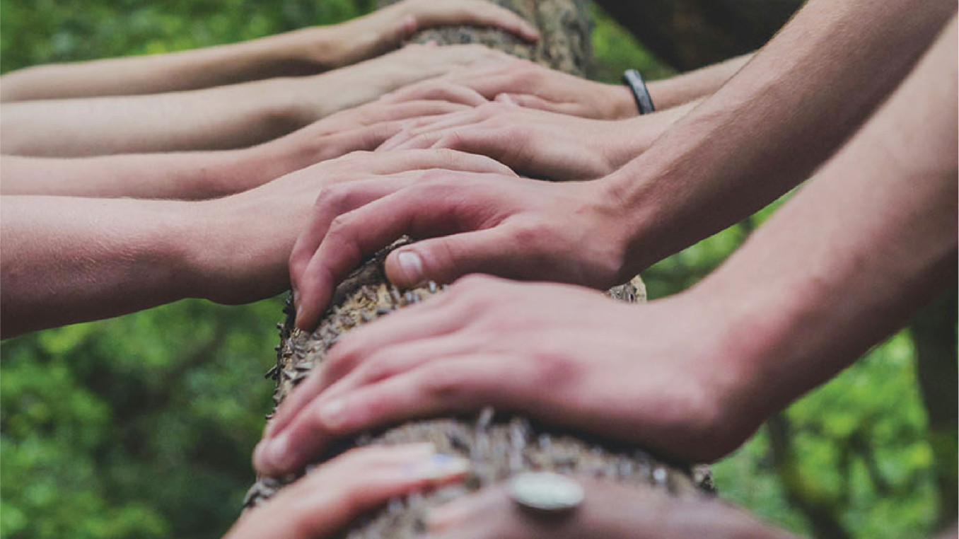 hands on a tree