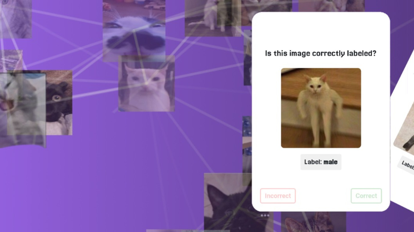 Purple banner for “Schrödinger’s Ethical Dataset,” featuring a collage of cat photos connected by network lines. Two floating cards show a cat image with the prompt “Is this image correctly labeled?”—one labeled “male” and another “fatcat.