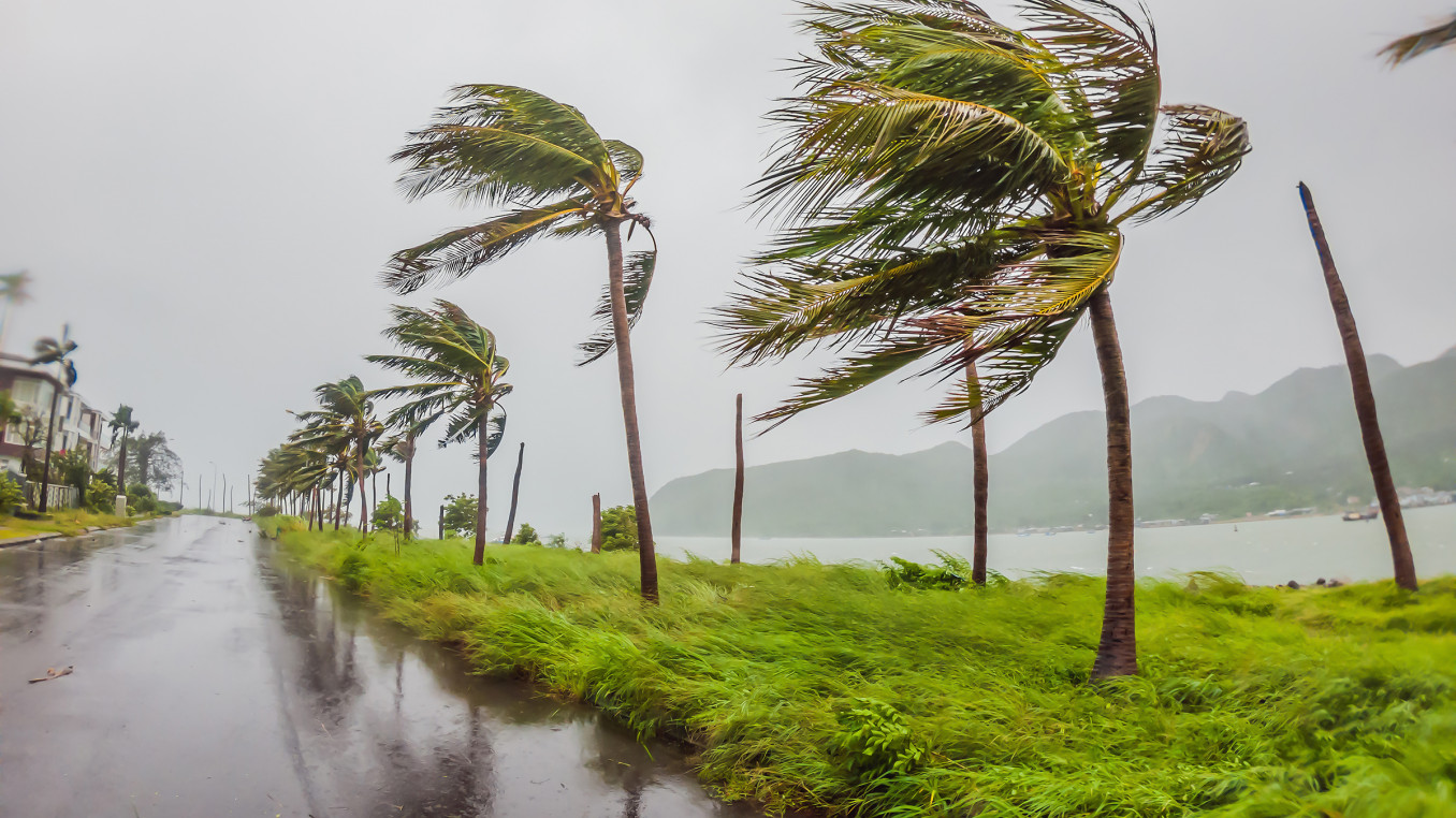 In the picture you can see an island. A tropical storm, heavy rain and high winds in tropical climates, palm trees. 