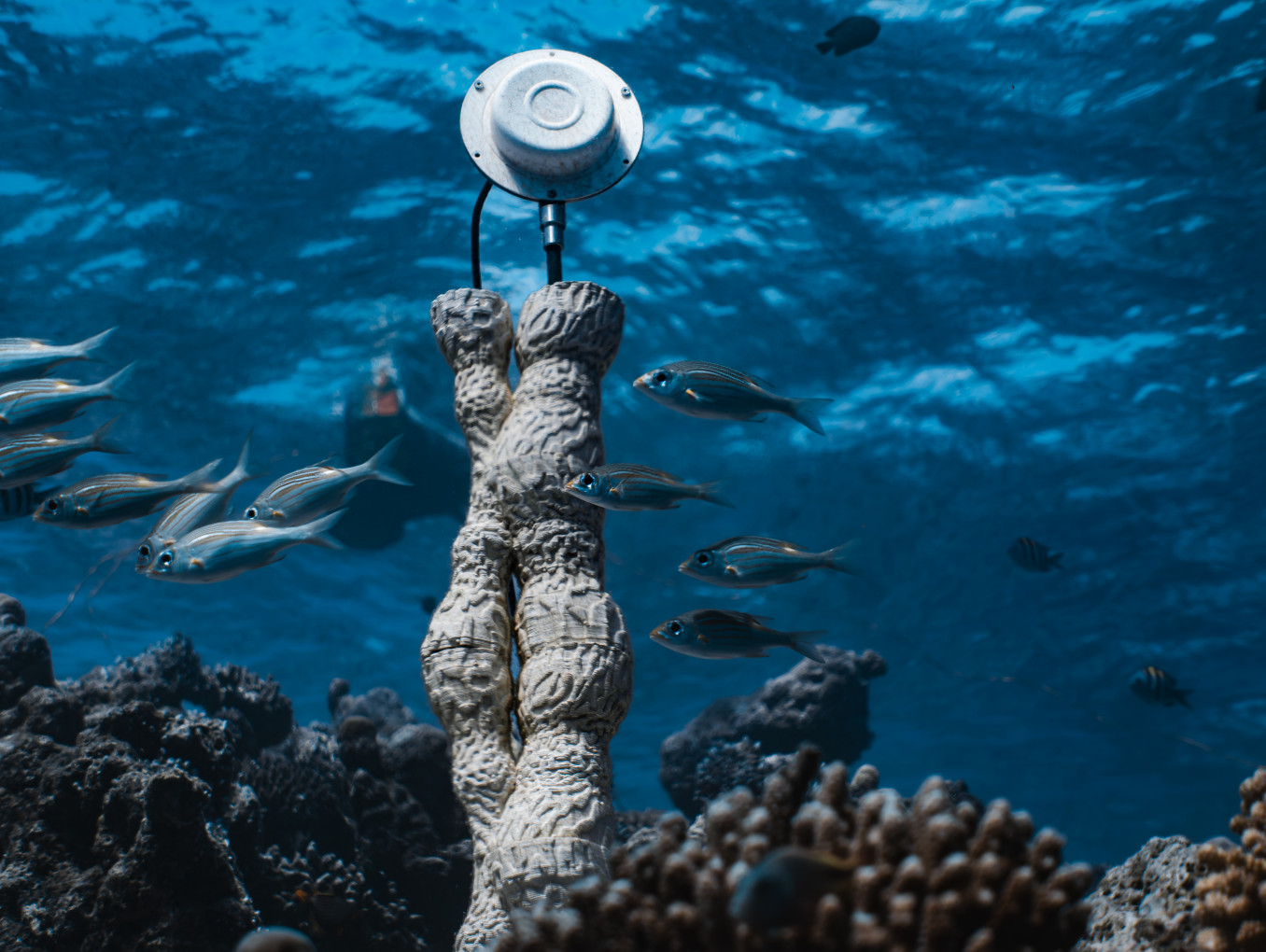 Sound sculpture under water